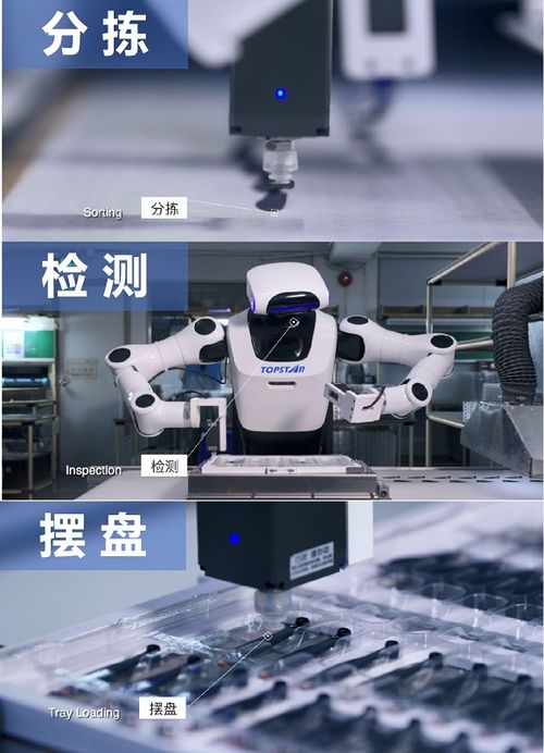 硬核實(shí)力鑄就卓越，小拓榮膺高工機(jī)器人金球獎年度產(chǎn)品獎