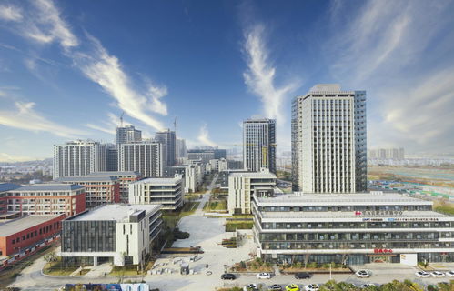 合肥廬陽區(qū) 全力以赴抓項目謀新篇，力促園區(qū)資產(chǎn)投資與管理穩(wěn)中求進