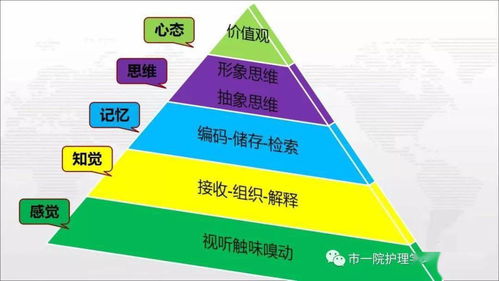 思維導圖在臨床管理與園區資產投資管理中的創新應用